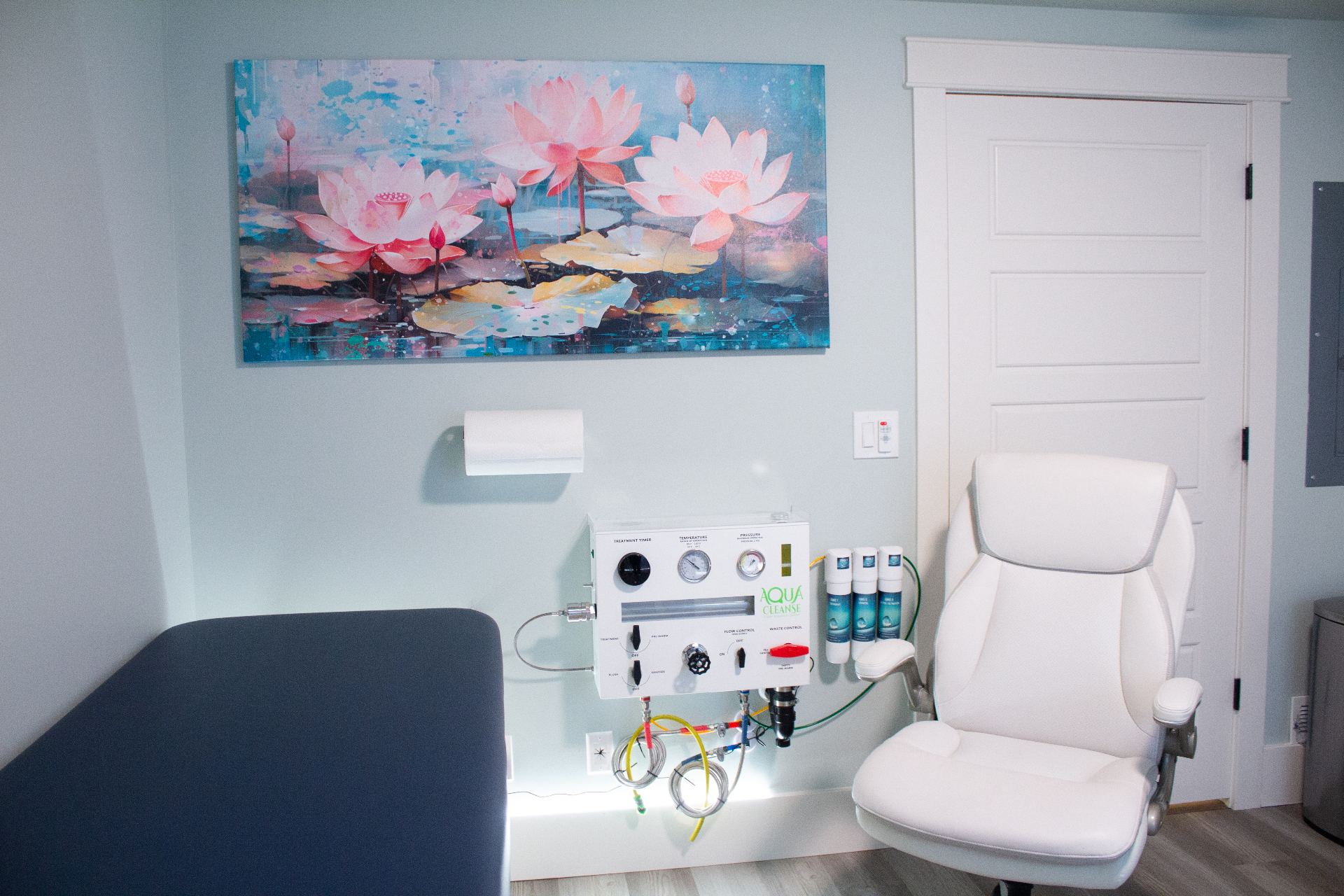 Aqua Cleanse colonic irrigation system and treatment area